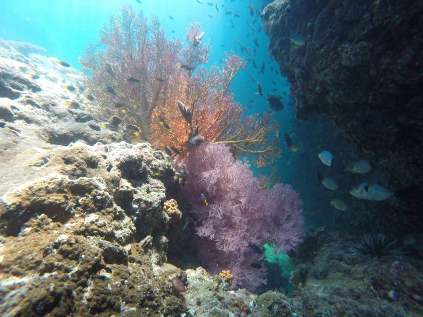 Krabi: Freediving and Snorkeling at Yawasam and Talu Island - What the small group changes