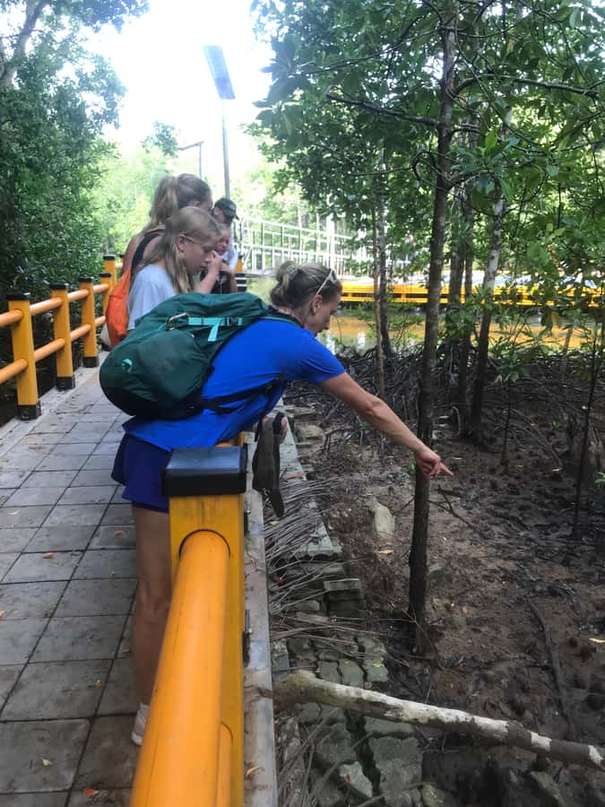 Krabi: Half-Day Mangrove Boat Trip And Khao Khanap Nam Cave - Is $38 a fair price?