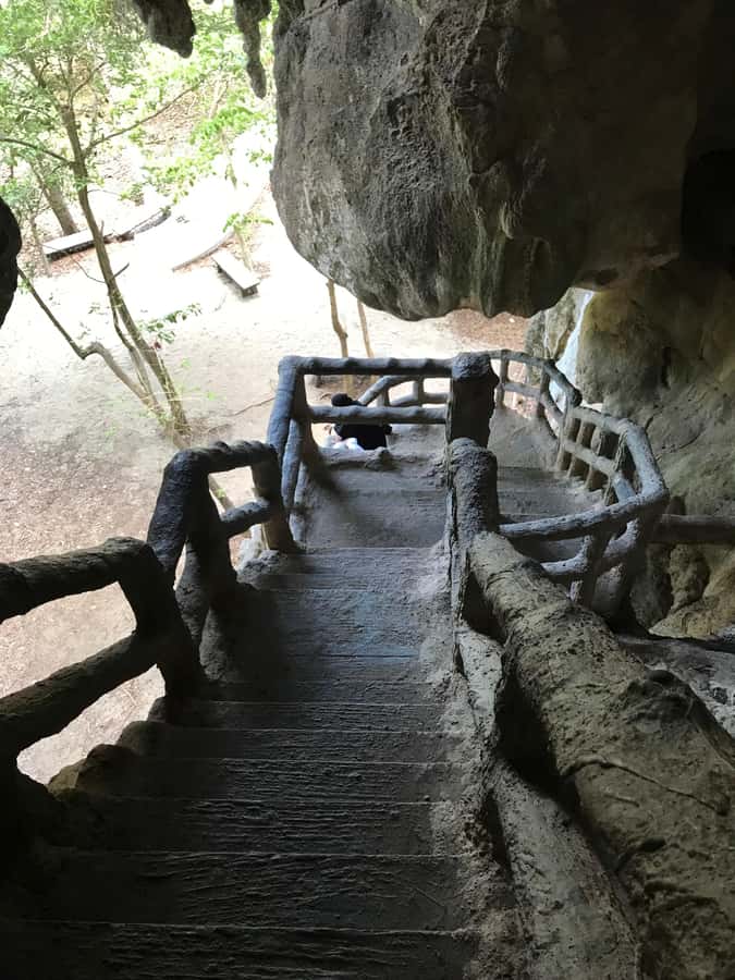 Krabi: Half-Day Mangrove Boat Trip And Khao Khanap Nam Cave - Guide quality and the language question