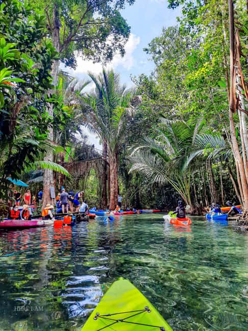 Krabi: Hidden Mirror Lake Kayak, Swim & Easy Nature Activity - Mirror Lake, clear water, and time to stop