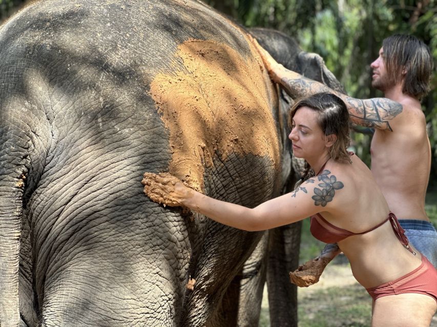 Krabi: Highlights Tour with Krabi Elephant Shelter - A Short Visit Built Around Elephant Care