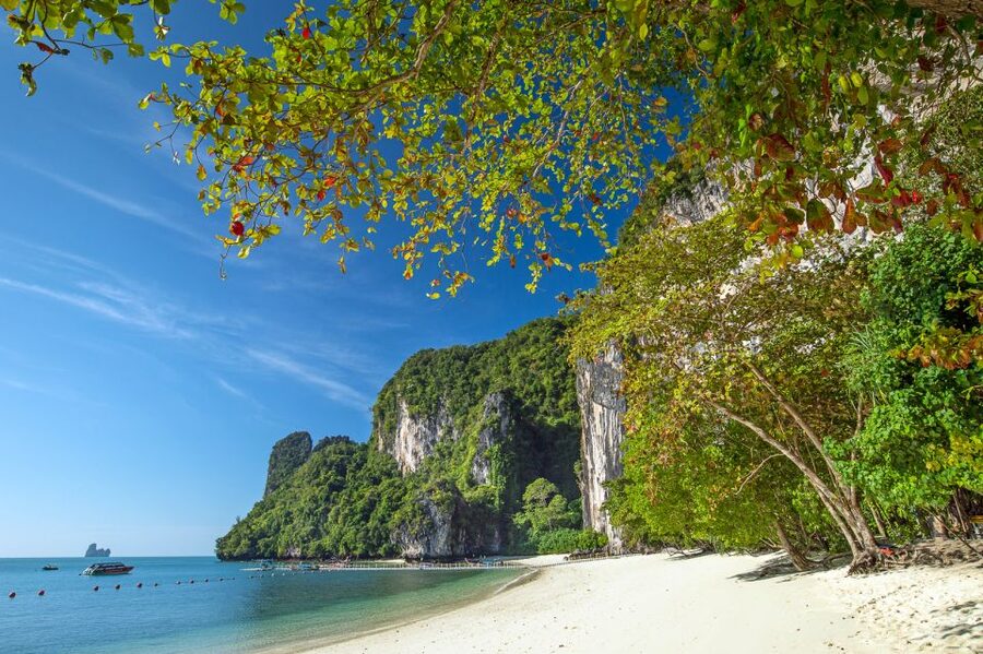 Krabi: Hong Islands Snorkeling with Lunch by Longtail Boat - Who should book this trip