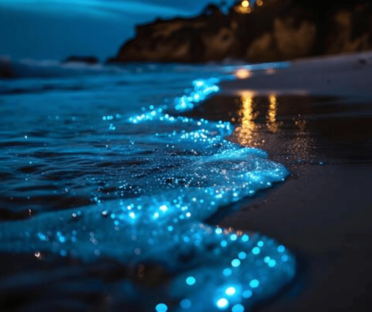 Krabi: Hong Islands Sunset, Bioluminescent Plankton and BBQ - Pack for water, sun, and a damp return