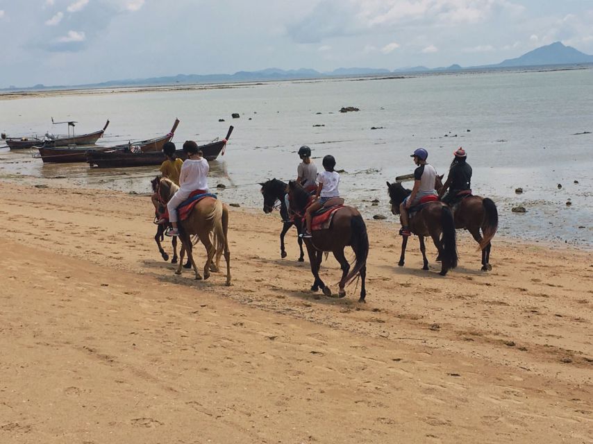 Krabi: Horseback Riding on the Beach - Key points to know before you ride
