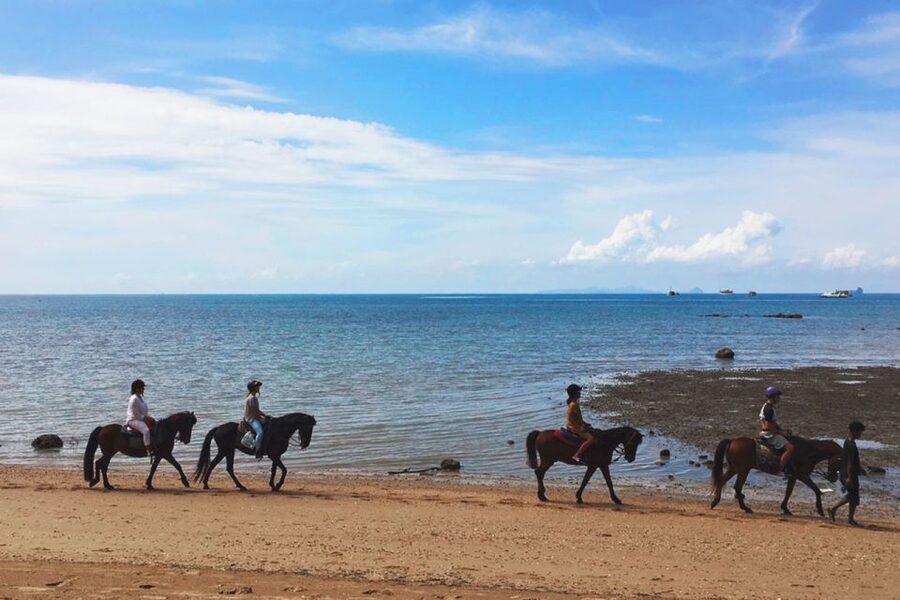 Krabi: Horseback Riding on the Beach - The Ban Laem Pho fossil shore