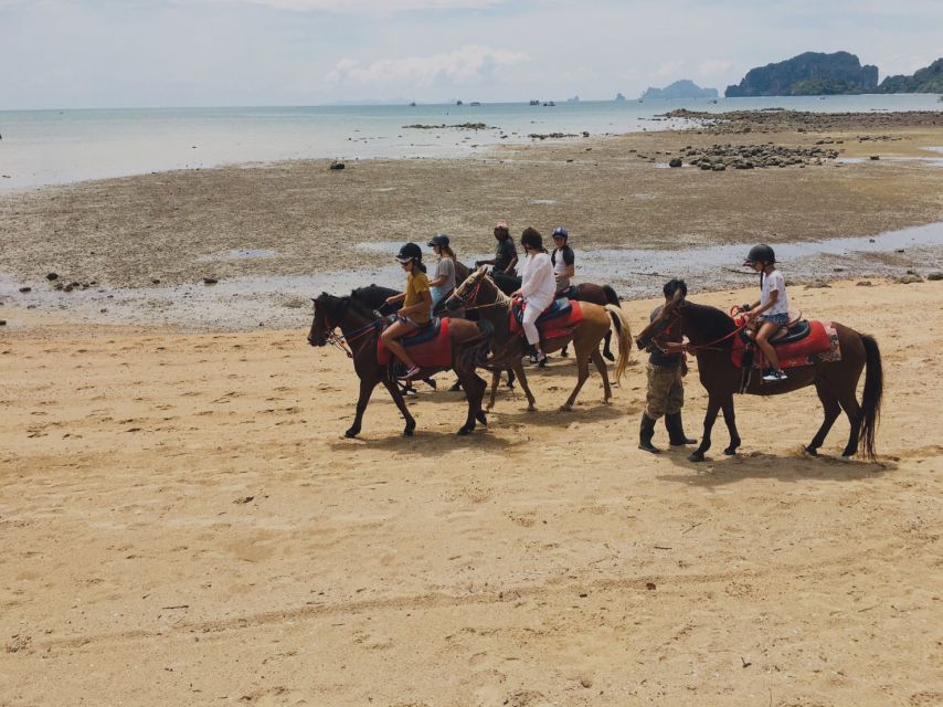 Krabi: Horseback Riding on the Beach - Who will enjoy this ride most