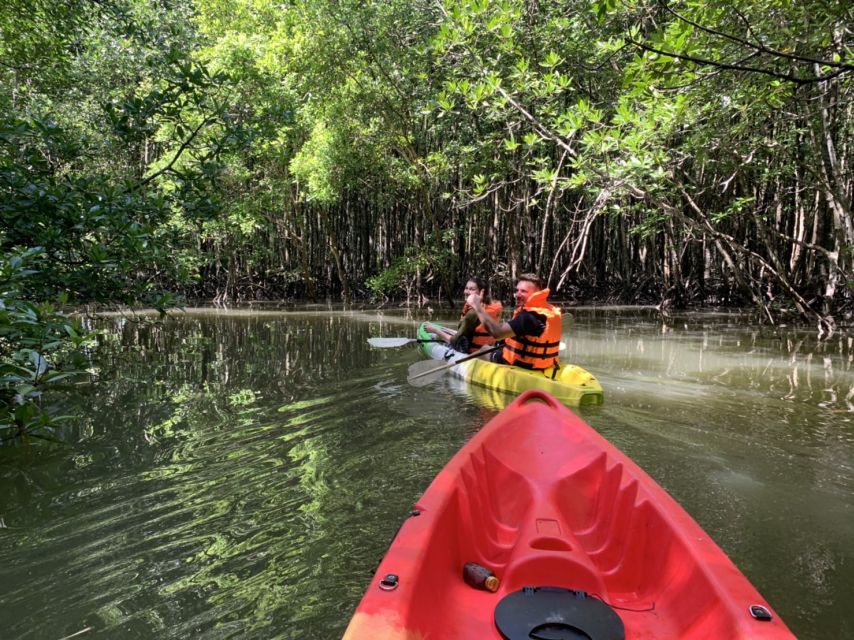 Krabi: Kayak in Mangrove Forest with Meal Aonang - Key points at a glance