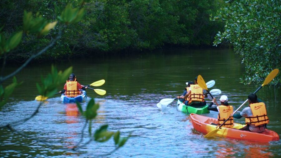 Krabi: Kayak in Mangrove Forest with Meal Aonang - Paddling out from Ao Nam Mao