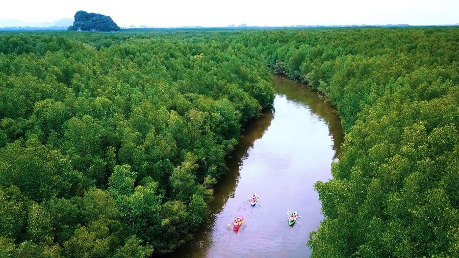 Krabi: Kayak in Mangrove Forest with Meal Aonang - Group size, timing, and pickup areas