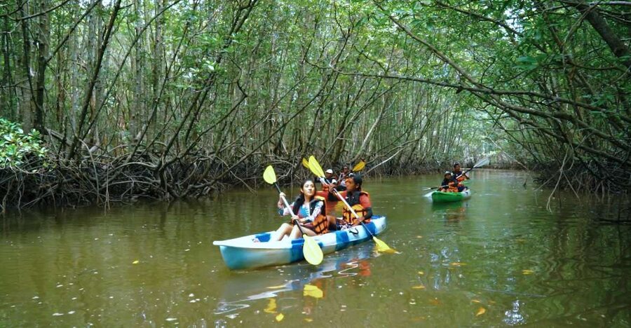 Krabi: Kayak in Mangrove Forest with Meal Aonang - Getting good photos without risking your phone
