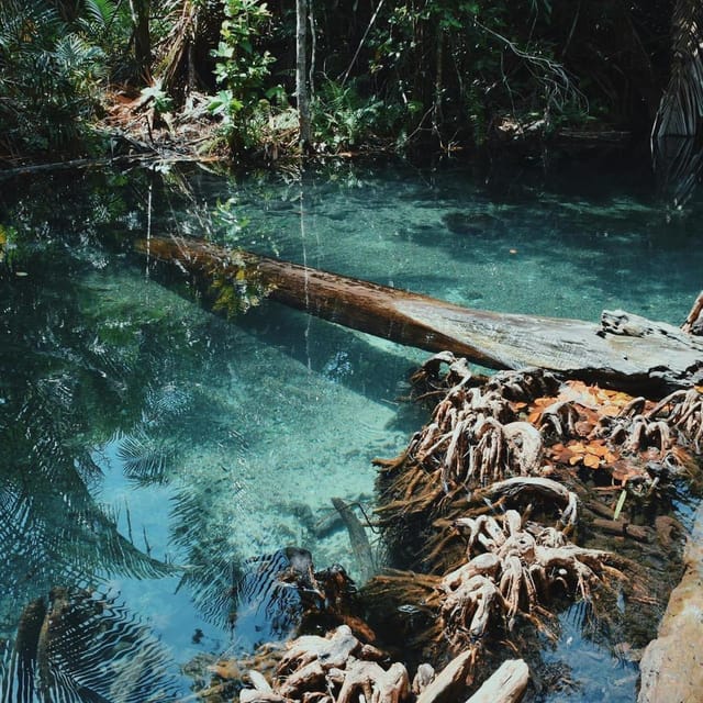 Krabi kayaking and swimming clongrood Tour - Key points at a glance