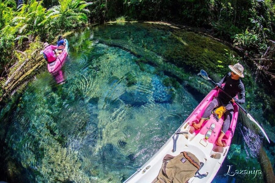 Krabi kayaking and swimming clongrood Tour - Through the rainforest and mangrove
