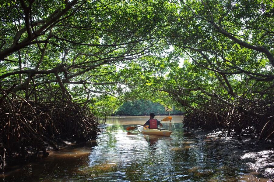 Krabi kayaking Ao thalane - Why Ao Thalane is a fine place to kayak