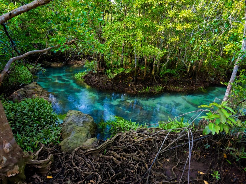 Krabi: Kayaking, Crystal Lagoon, and Fish Spa in Klong Root - Practical packing advice