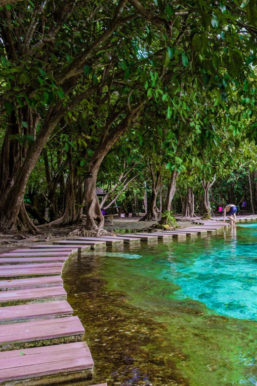 Krabi: Kayaking, Crystal Lagoon, and Fish Spa in Klong Root - Kayaking through the spring-fed channels