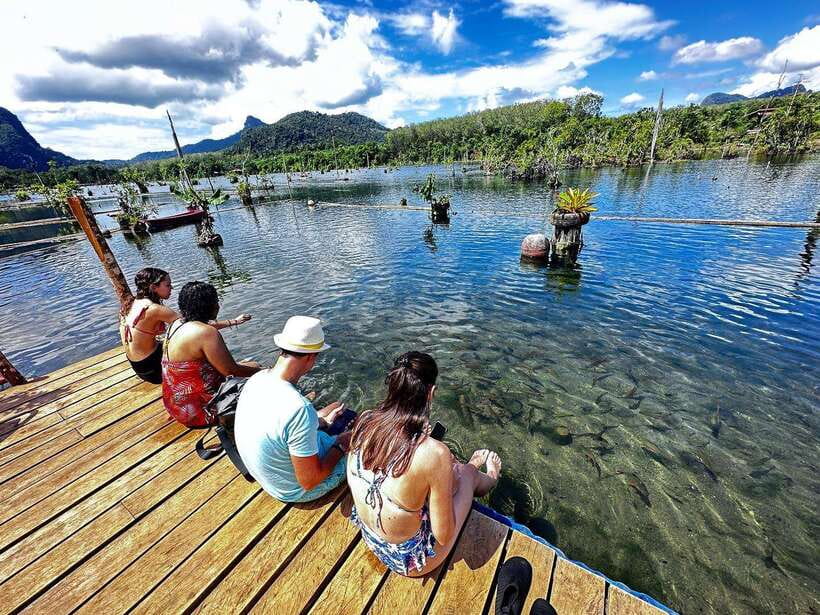 Krabi: Klong Root (Crystal lake) Kayaking tour - Who Will Enjoy Klong Root Most
