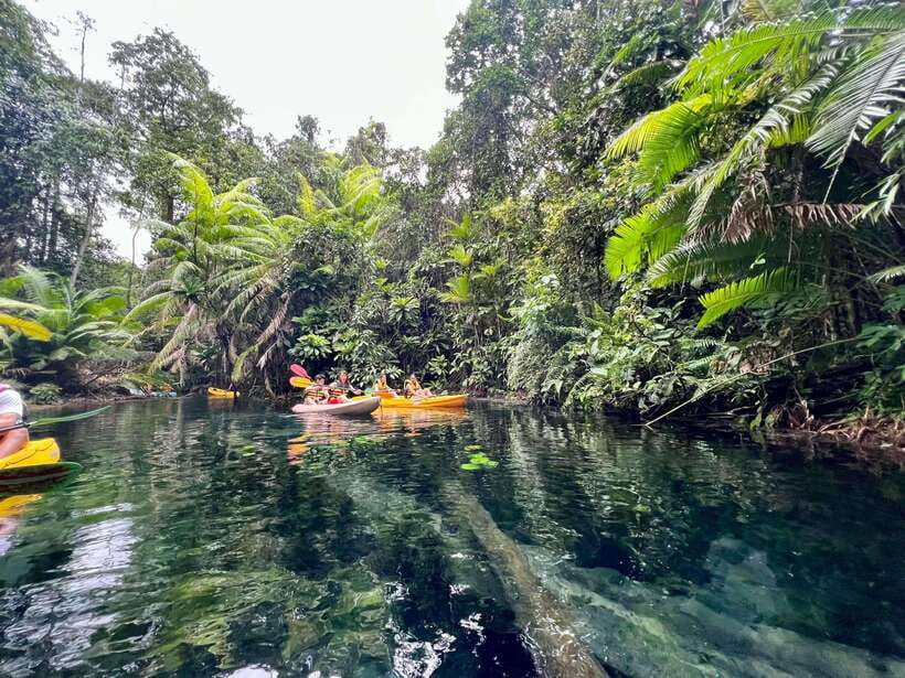 Krabi: Klong Root (Crystal lake) Kayaking tour - What This Krabi Outing Really Feels Like