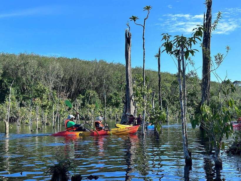 Krabi: Klong Root (Crystal lake) Kayaking tour - Launching into Klong Root’s Clear Canal