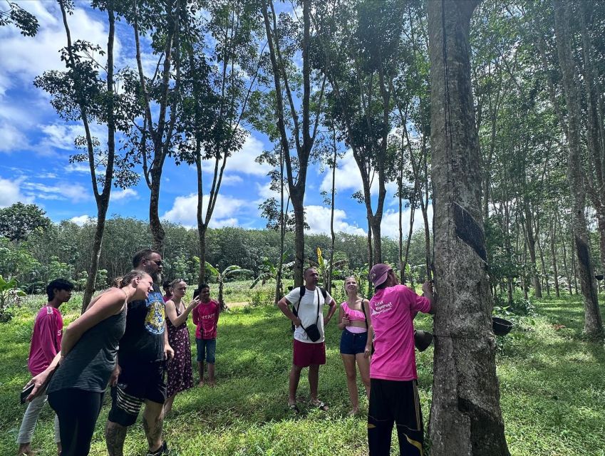 Krabi: Klong Root Kayaking Viewpoint,Fish Feeding and more - Kayaking through the swamp forest