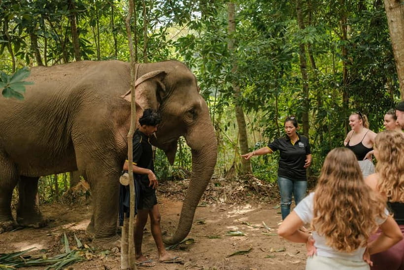 Krabi: Love Elephant Sanctuary Tour - What Tuki explains before the hands-on work