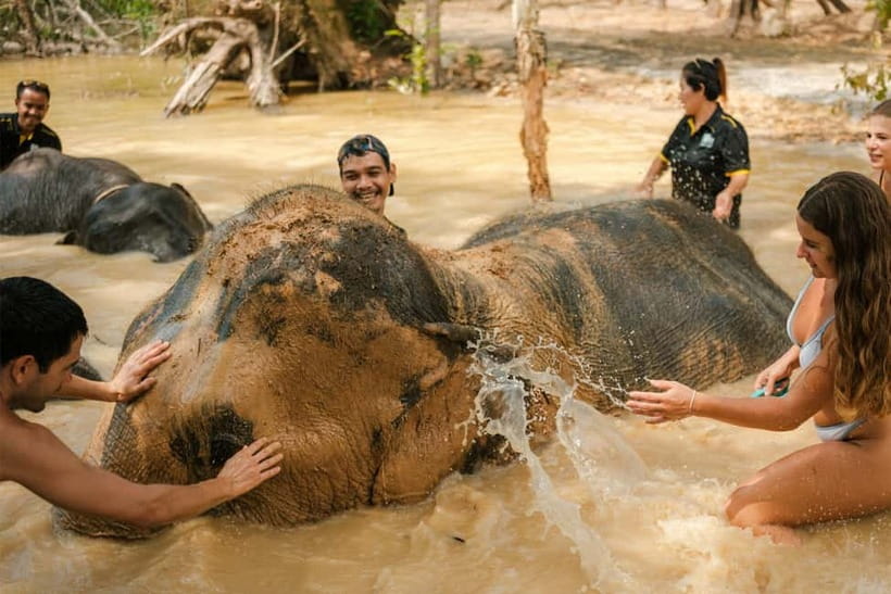 Krabi: Love Elephant Sanctuary Tour - Making herbal medicine for elephant care