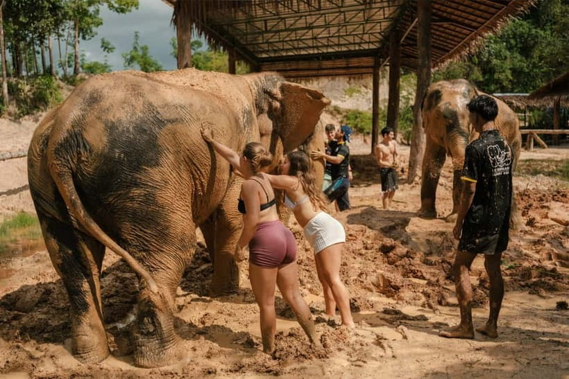 Krabi: Love Elephant Sanctuary Tour - The muddy spa and the real fun of getting dirty