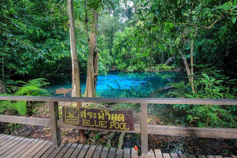 Krabi Outback Explorer to Emerald Pool & Wareerak Hotspring - Soaking at Private Wareerak Spa