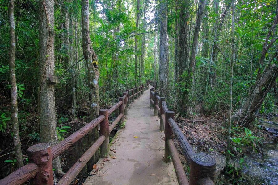 Krabi Outback Explorer with Visit of Tiger Cave Temple - Khao Pra Bang Khram and the walk to Emerald Pool