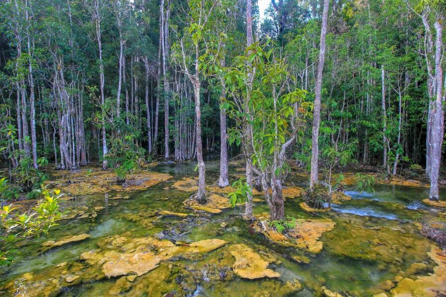 Krabi Outback Explorer with Visit of Tiger Cave Temple - Practical details before you reserve