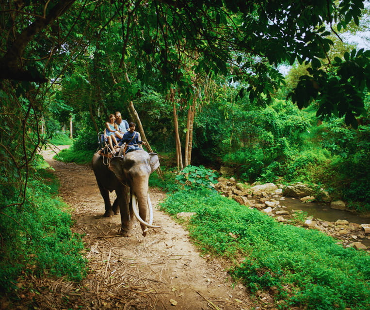 Krabi: Rainforest Jungle Tour with Emerald Pool & Hot Spring - Emerald Pool: clear water, forest shade, and crowds