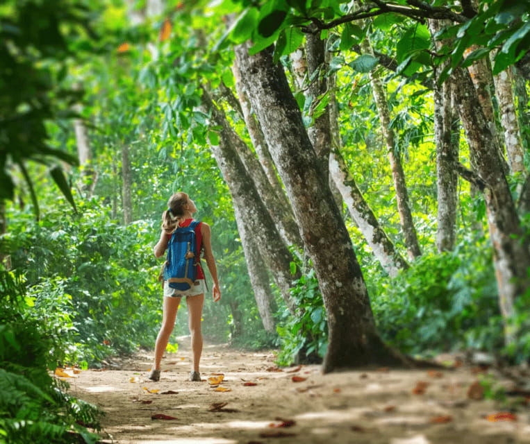 Krabi: Rainforest Jungle Tour with Emerald Pool & Hot Spring - Tiger Cave Temple: the full-day challenge