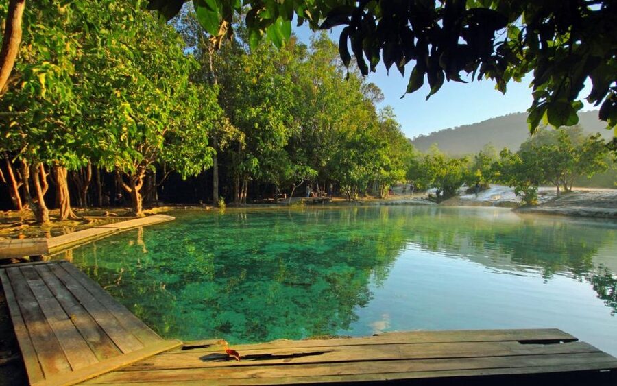 Krabi: Tiger Cave, Hot Springs and Emerald Pool Jungle Tour - Tiger Cave Temple and the 1,260 steps