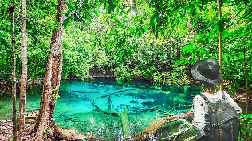 Krabi: Tiger Cave Temple, Emerald Pool and Hot Springs Tour - Lunch near the middle of the day
