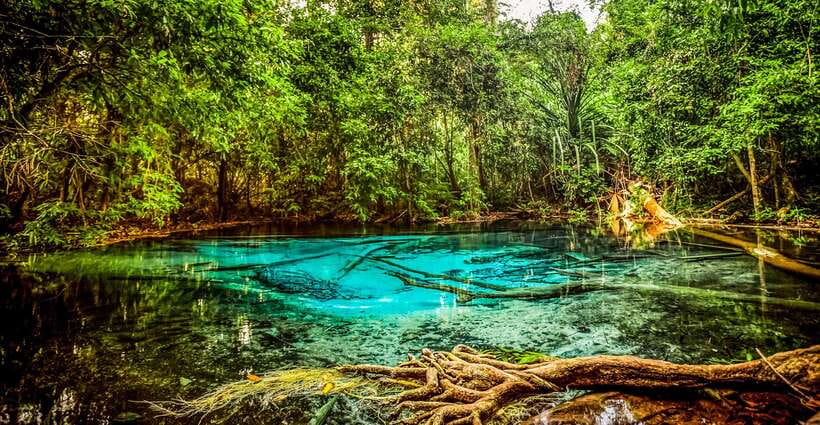Krabi: Tiger Cave Temple, Emerald Pool and Hot Springs Tour - Guides make the long day work