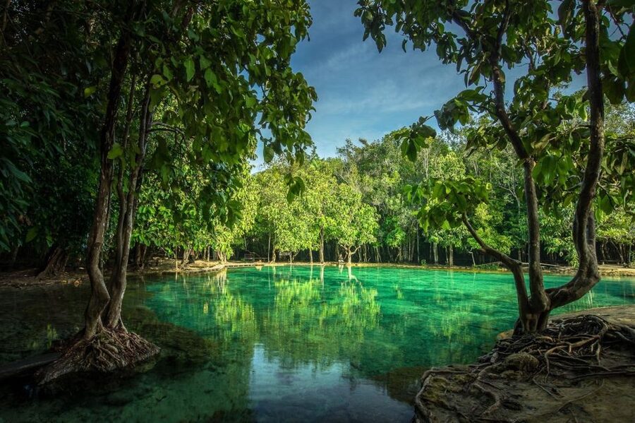 Krabi: Tiger Temple, Hot Springs & Crystal Pool Jungle Tour - What this Krabi jungle tour is really like