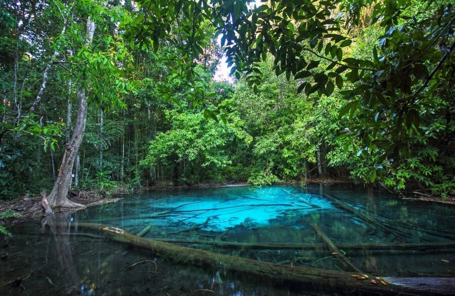 Krabi: Tiger Temple, Hot Springs & Crystal Pool Jungle Tour - Lunch at a local restaurant
