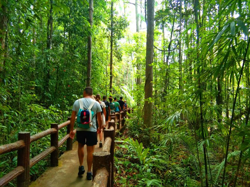 Krabi: Tiger Temple, Hot Springs & Crystal Pool Jungle Tour - Emerald Pool and the Khao Phra Bang Khram forest