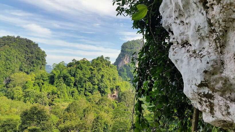 Krabi: Ziplining with Abseiling and Rock Climbing Options - Is $50 a fair price?