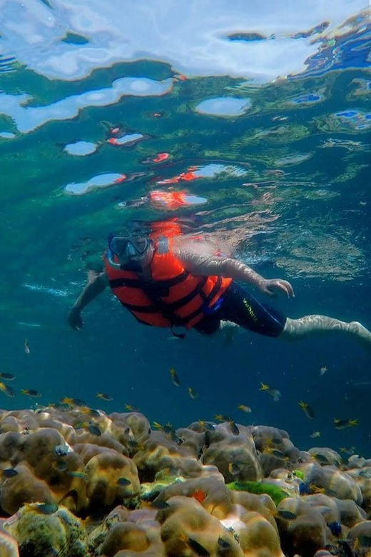 Lanta's Hidden Gems: 4 Islands by Traditional Longtail Boat - Koh Chueak gives you the best first look underwater