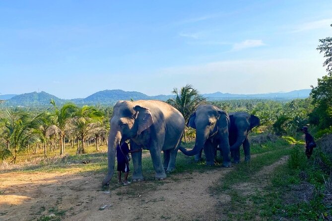 Living Green Elephant Sanctuary Tour from Bangkok and Pattaya - Practical booking advice