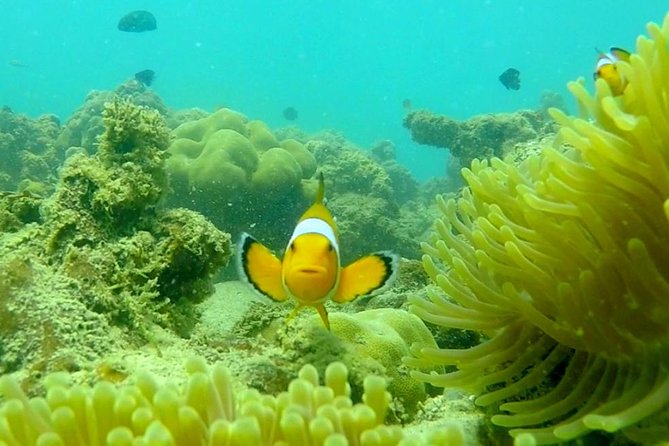 Local Reef Snorkelling and Deserted Beach - The monsoon-season warning matters