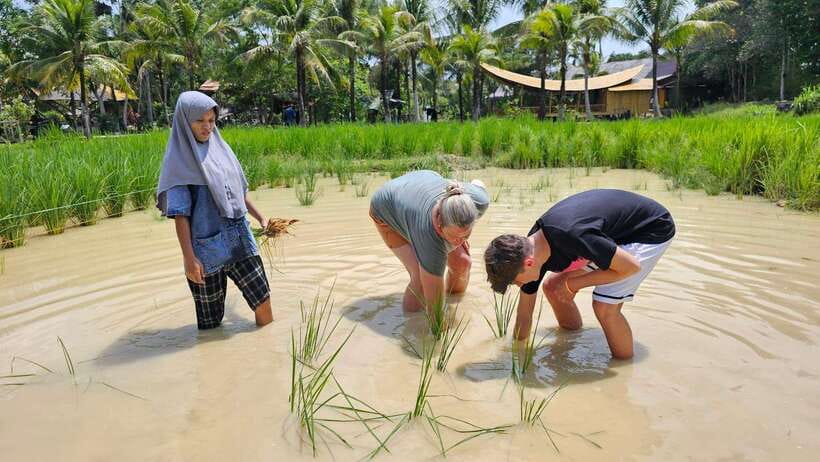 Old Phuket Farm Ticket - Countryside Local Life Culture - Is $36 a fair price for two hours?