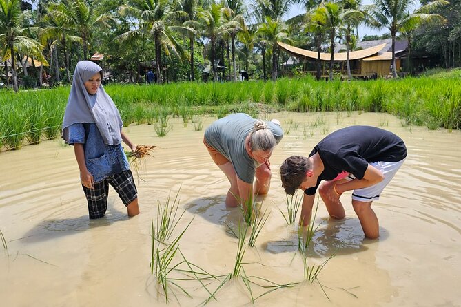 Old Phuket Farm Ticket - Countryside Local Life Culture - Tin panning and Phuket’s mining connection