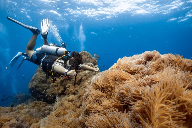 Open Water Course - Become certified diver in 3 days - What the first morning at Koh Tao Scuba Club is like