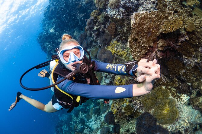 Open Water Course - Become certified diver in 3 days - Who will get the most from this course?