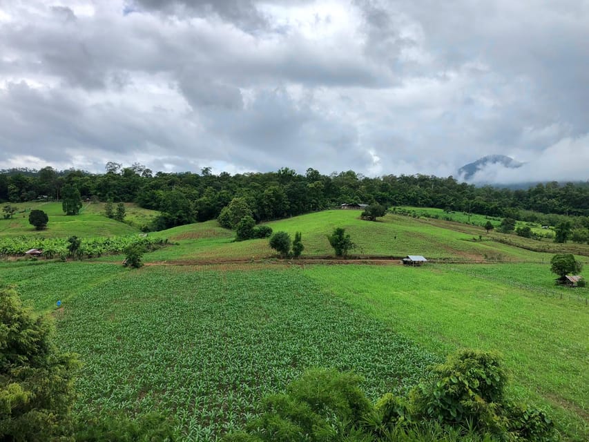 Pai: Ultimate Ziplining Adventure through the Jungle - Who will enjoy this Pai adventure?