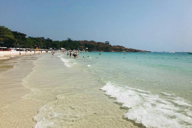 Pattaya : Coral Island Tour by Speedboat with Indian Lunch & Pick Up from Hotel - What the $8.63 price really buys you