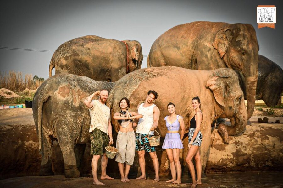 Pattaya: Elephant Jungle Sanctuary Feeding Experience - Key points to know before you go