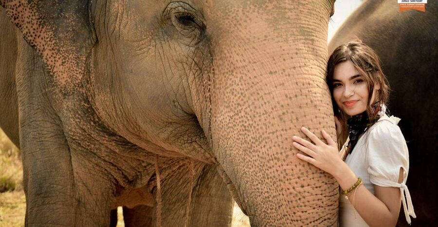 Pattaya: Elephant Jungle Sanctuary Feeding Experience - Feeding elephants instead of riding them