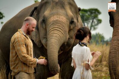 Elephant Jungle Sanctuary Feeding Experience